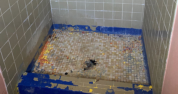 before_bathroom_01